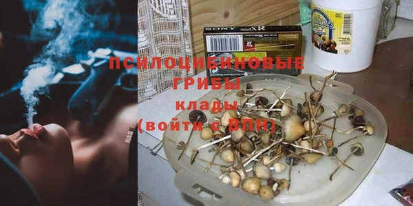 дурь Медвежьегорск